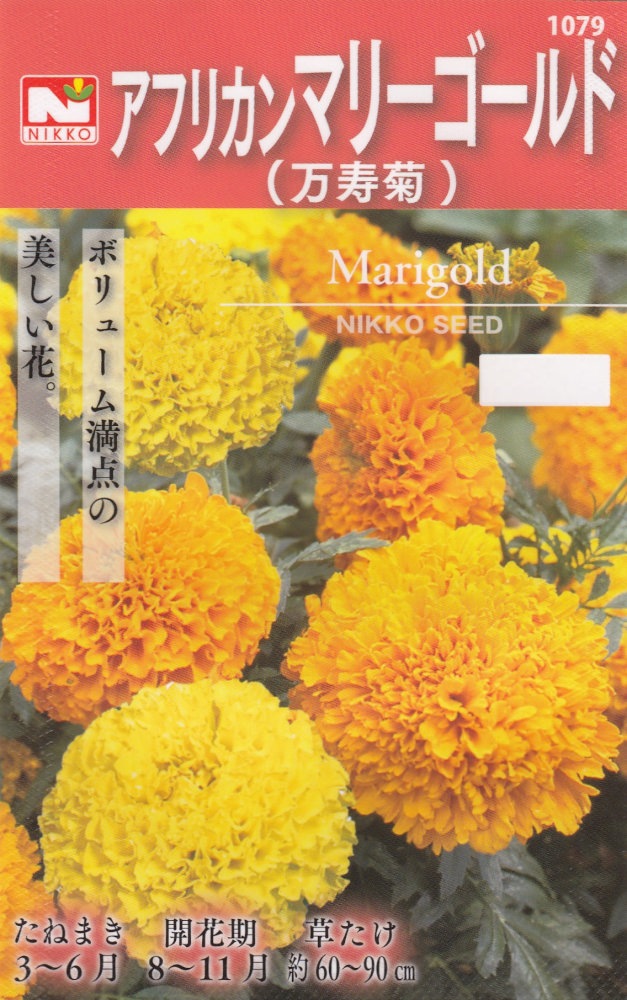 日光種苗 アフリカンマリーゴールド（万寿菊）のタネ［内容量:100ml