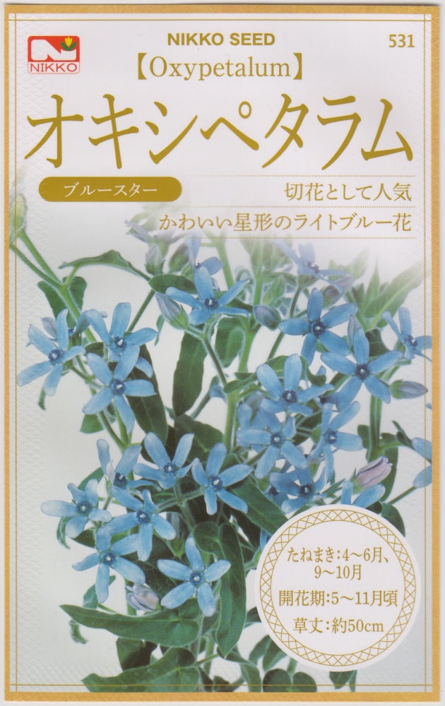 日光種苗 オキシペタラムのタネ（ブルースター）［内容量:0.2ml］【531