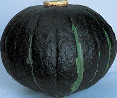 ܥ ߻꤫ܤ9cmݥåȡڣܡȯʬ