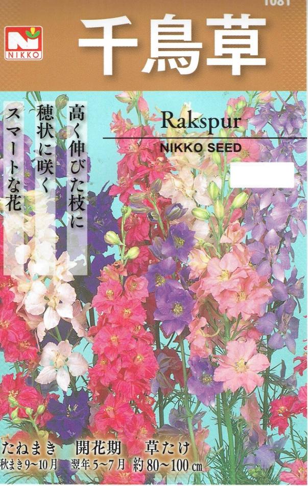 日光種苗 千鳥草（ラークスパー）のタネ［内容量:100ml］【秋