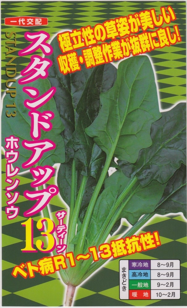 ʥȼġۥ󥽥 ɥåףΥ͡:20ml