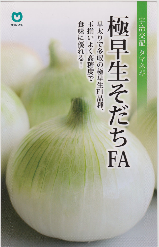 丸種 タマネギ 極早生そだちFAのタネ［内容量:1.5ml］ | 【メーカー名