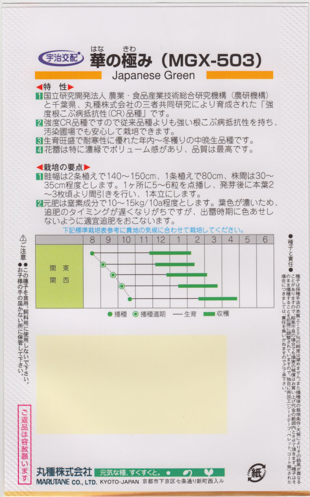 丸種 ハナナ 華の極みのタネ【品種名：MGX-503_登録番号：第28974号_