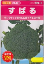 �֥��꡼�ɡ��֥��å��꡼ ���Ф�Υ��͡�������:��100γ��