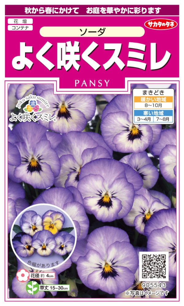 サカタのタネ よく咲くスミレ ソーダのタネ［内容量:約40粒