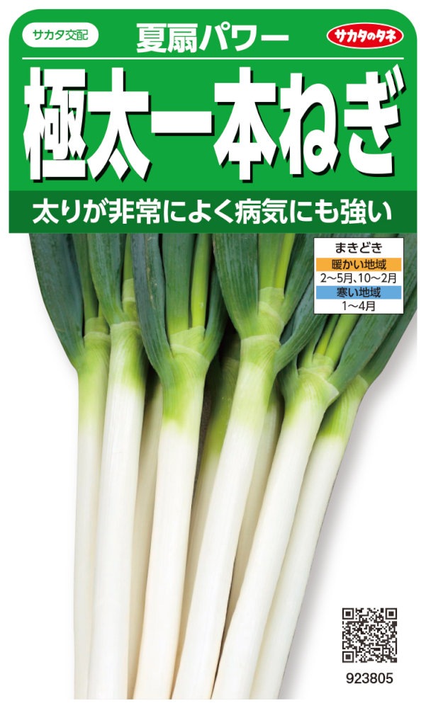 サカタのタネ ネギ 極太一本ねぎ 夏扇パワーのタネ［内容量:3ml