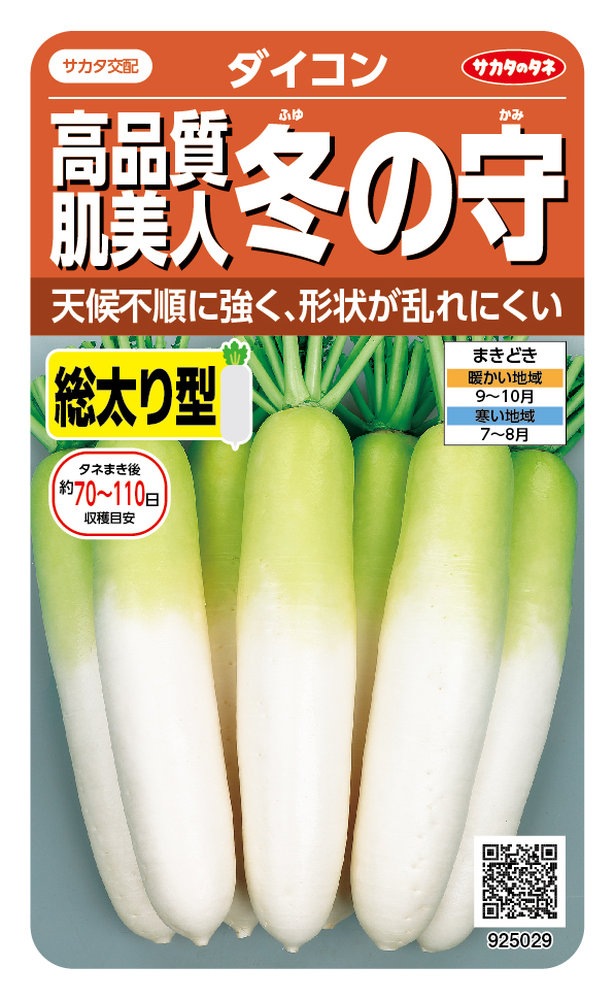 サカタのタネ 高品質肌美人ダイコン 冬の守のタネ［内容量:4.5ml