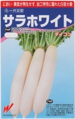  ۥ磻ȤΥ͡:3mlϡʼ̾ۥ磻_Ͽֹ桧26231