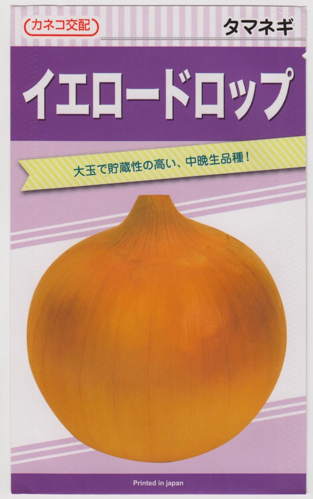 カネコ種苗 タマネギ イエロードロップのタネ[内容量:20ml カネコ種苗 タマネギ イエロードロップのタネ[内容量:20ml