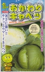 ���Ӽ��ġ�������ꥭ��٥ĤΥ��͡�������:1ml��