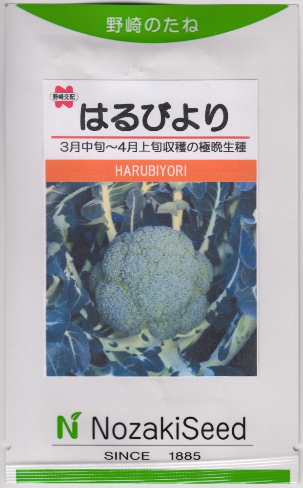 野崎採種場　ブロッコリー はるびよりのタネ［内容量:約100粒］