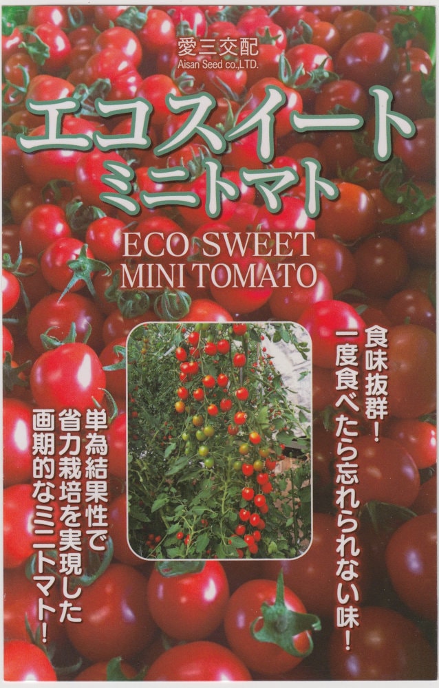 �������� �ߥ˥ȥޥ� �����������ȤΥ���[�����̡���12γ]