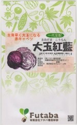 �ե��м��� �֥���٥� ��̹����Υ��� (�������ޤ������) [�����̡�1.2ml]