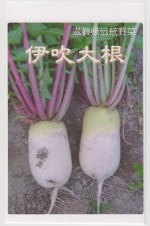 ���ļ��� �˿��纬�Υ���[�����̡���100γ]