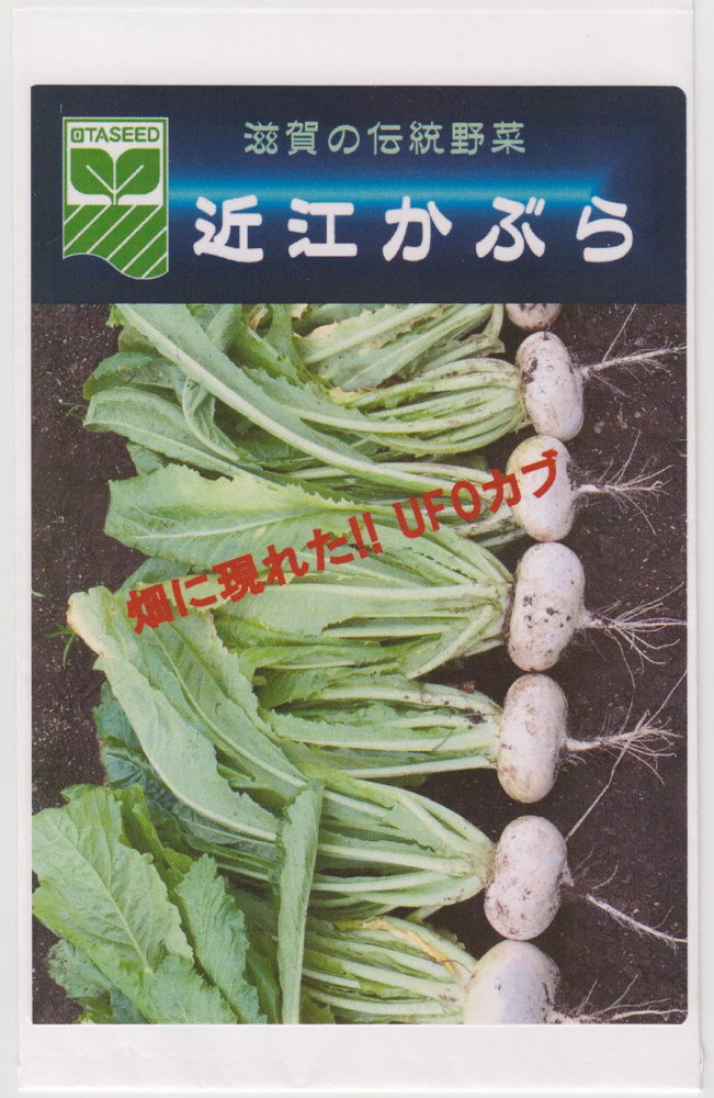 ���ļ��� ���� �Ṿ���֤�Υ���[�����̡�5ml]