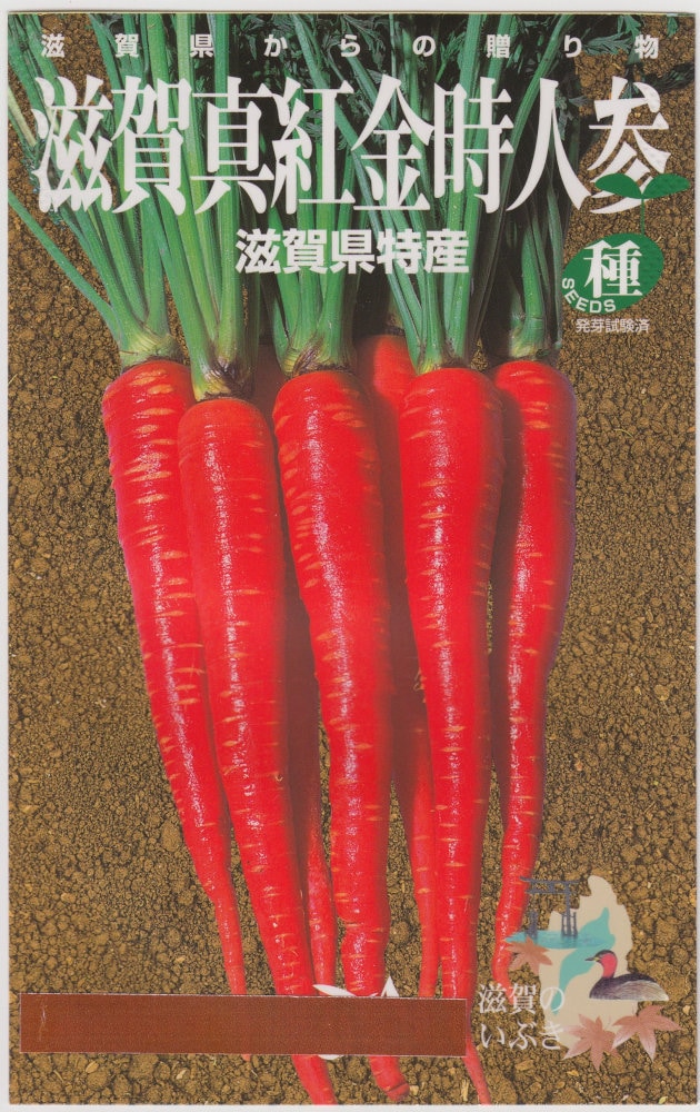 ļ ˥󥸥 쿿ȶͻΥ[̡7ml]