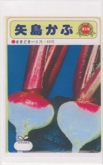 ���ļ��� ���� ���礫�֤Υ���[�����̡�5ml]