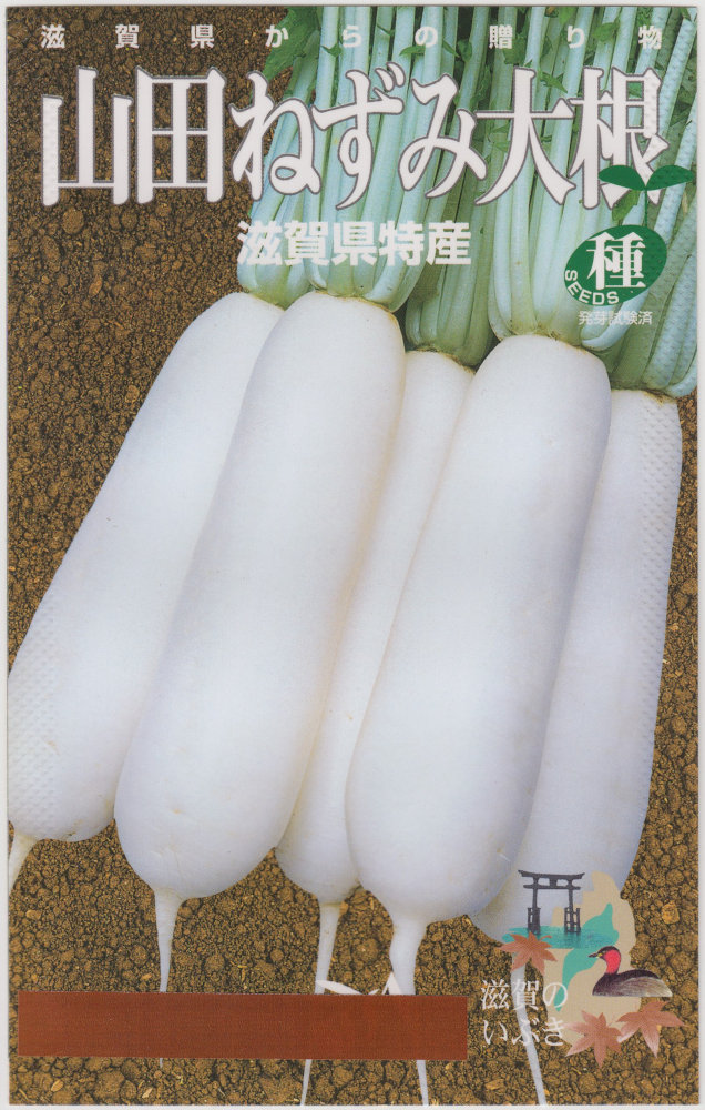 ���ļ��� �纬 ���Ĥͤ��ߤ�������Υ���[�����̡���200γ]