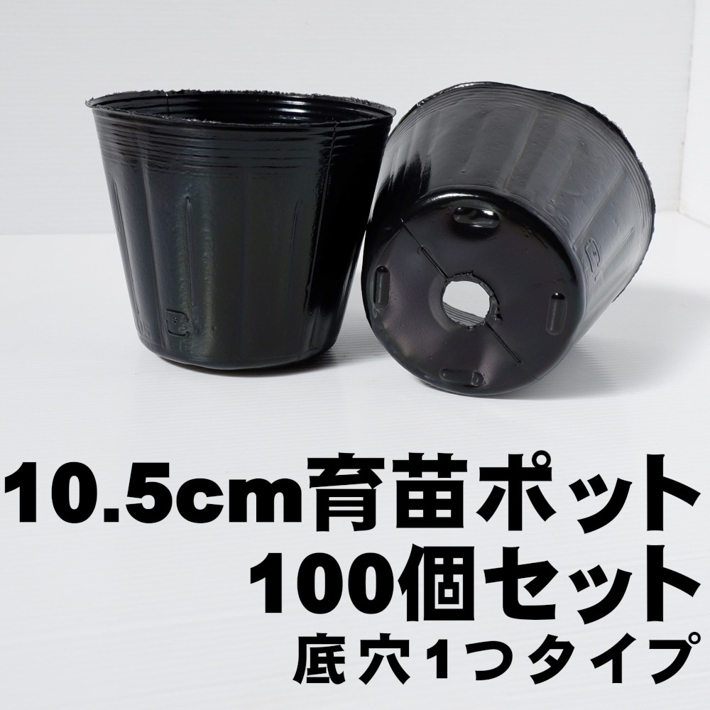 育苗用の黒ポット　4500個くらい（多分） ポット 育苗用 モノタロウ 黒色 【通販モノタロウ】