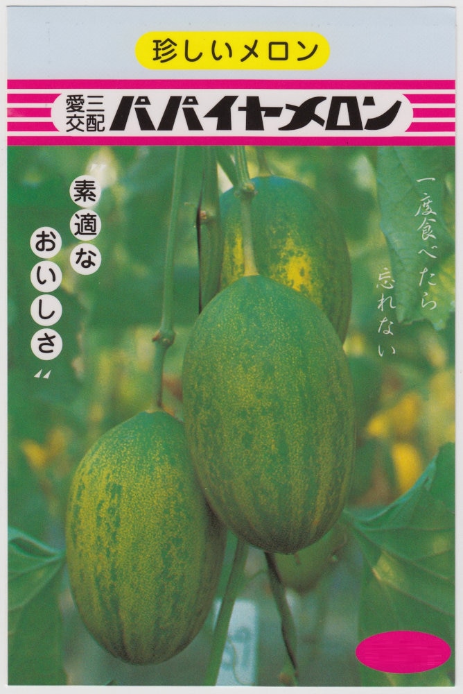 メロンのタネ】