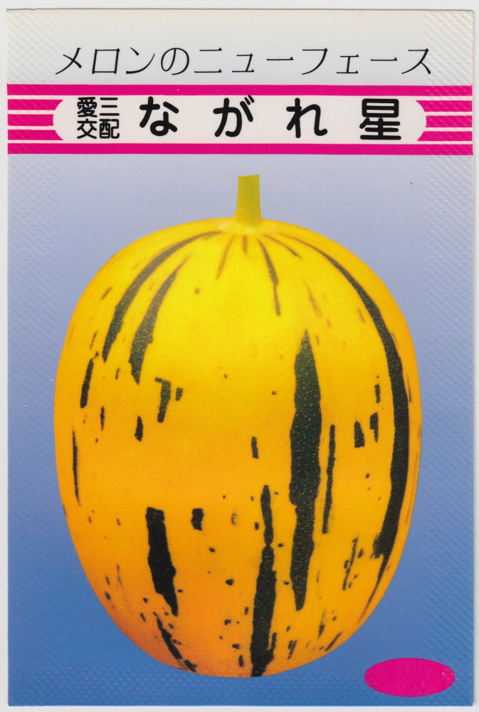 愛三種苗 メロン ながれ星のタネ[内容量：約9粒] | 【メーカー名から