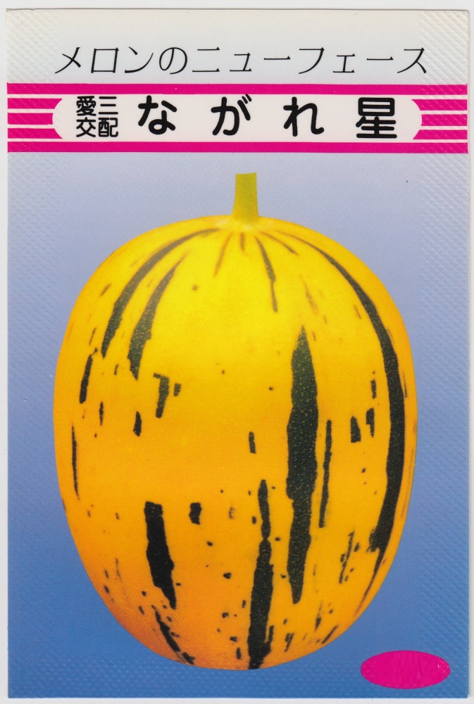 メロン 000000006666_cWUnxuy.jpg