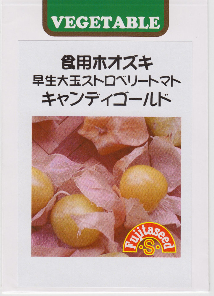 藤田種子 食用ホオズキ 早生ストロベリートマト ハニーゴールドのタネ