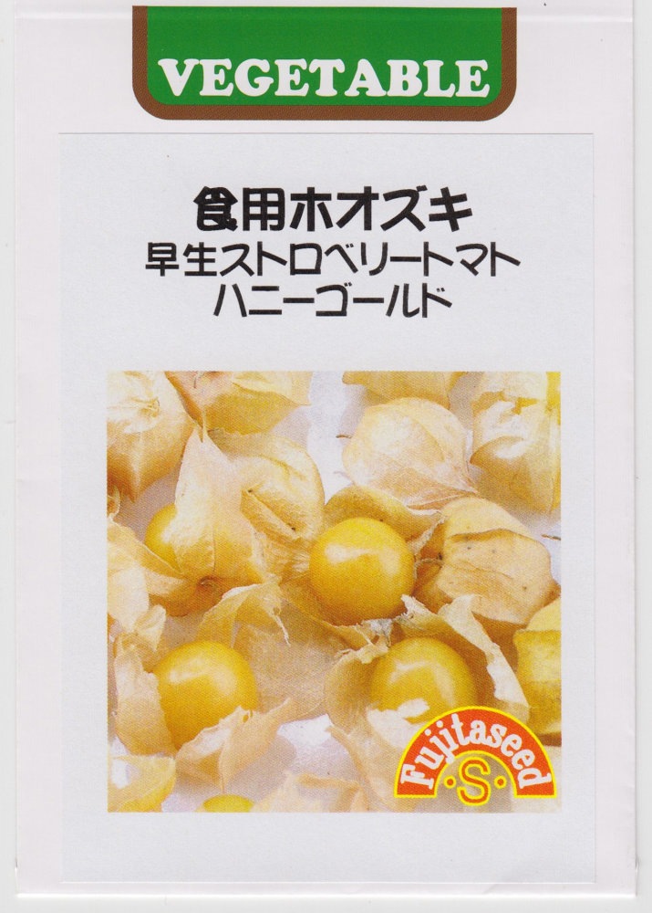 藤田種子 食用ホオズキ 早生ストロベリートマト ハニーゴールドのタネ