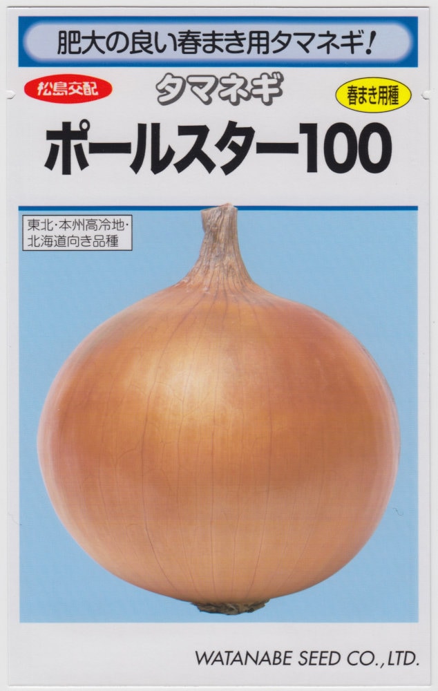 渡辺採種場 タマネギ ポールスター100のタネ[内容量：2.2ml