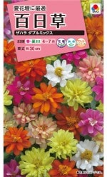 ���������� ɴ���� ���ϥ���֥�ߥå����Υ���[�����̡���20γ]