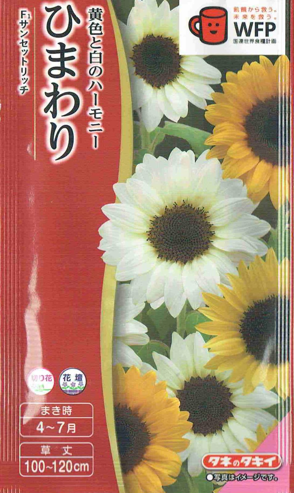 タキイ種苗 ひまわり サンセットリッチのタネ[内容量：2ml