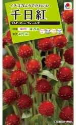 ���������� ������ ���ȥ��٥꡼�ե����륺�Υ���[�����̡�1ml]