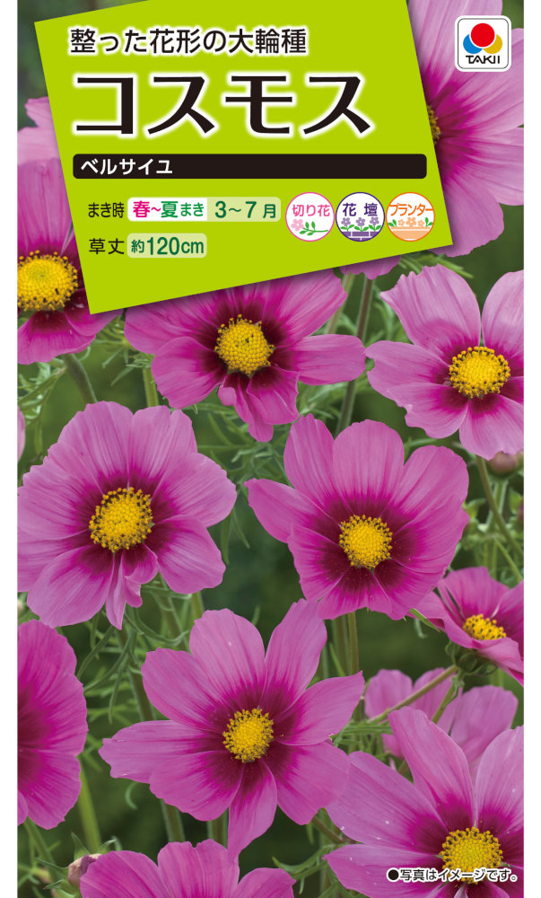 タキイ種苗 コスモス ベルサイユのタネ[内容量：1.7ml] | 【メーカー名