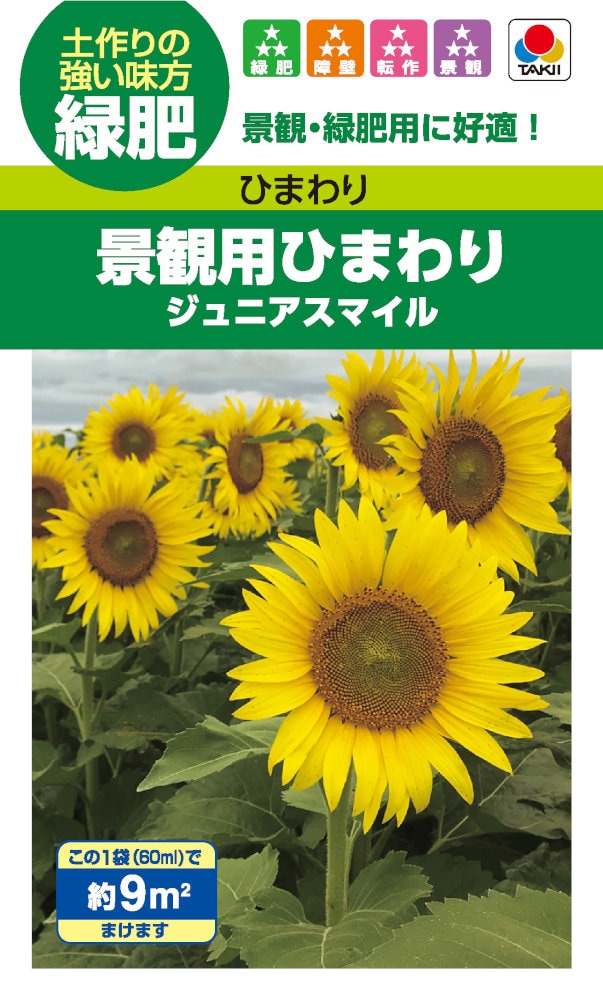 タキイ種苗 景観用ひまわり ジュニアスマイルのタネ[内容量：60ml