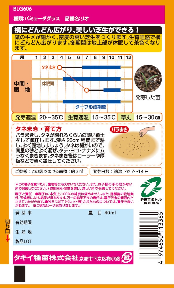 パパイヤ種子（タネ）　品種名　リオグランデ　10g（約650粒） パパイヤ種子（タネ） 品種名 リオグランデ 10g（約650粒