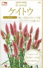 �������� �����ȥ� �ۥ��Υ���[�����̡�0.3ml]��556�ۡڽա�
