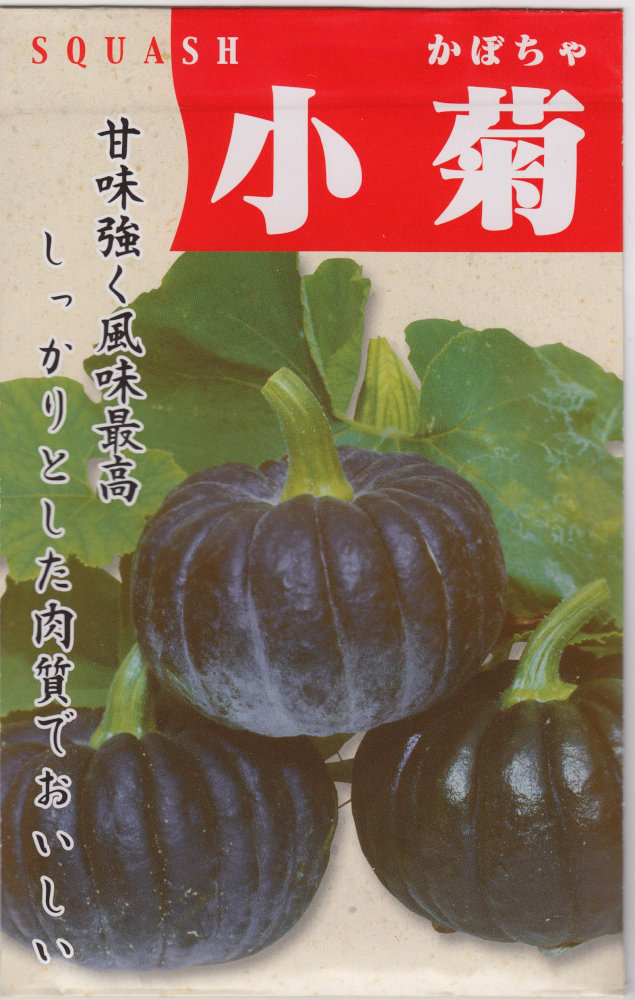 丸種 カボチャ 小菊のタネ[内容量：7ml] | 【メーカー名からタネを探す
