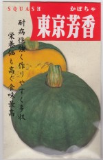 �ݼ� ���ܥ��� ���˧����Υ���[�����̡�10ml]