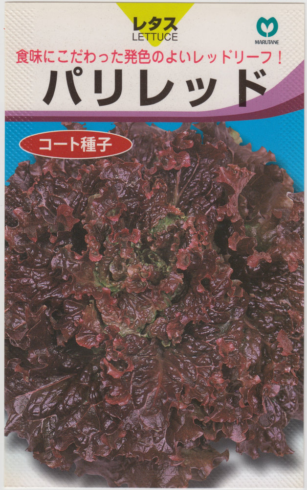 丸種 リーフレタス パリレッドのタネ[内容量：コート種子約40粒
