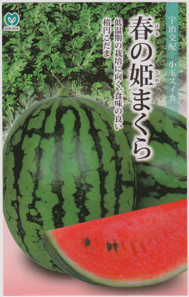 �ݼ� ������ �դ�ɱ�ޤ���Υ���[�����̡���7γ]