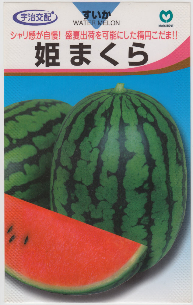 �ݼ� ������ ɱ�ޤ���Υ���[�����̡���7γ]