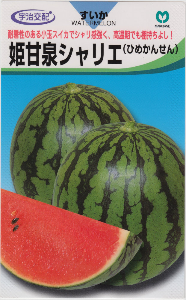 �ݼ� ������ ɱ��������ꥨ�Υ���[�����̡���7γ]