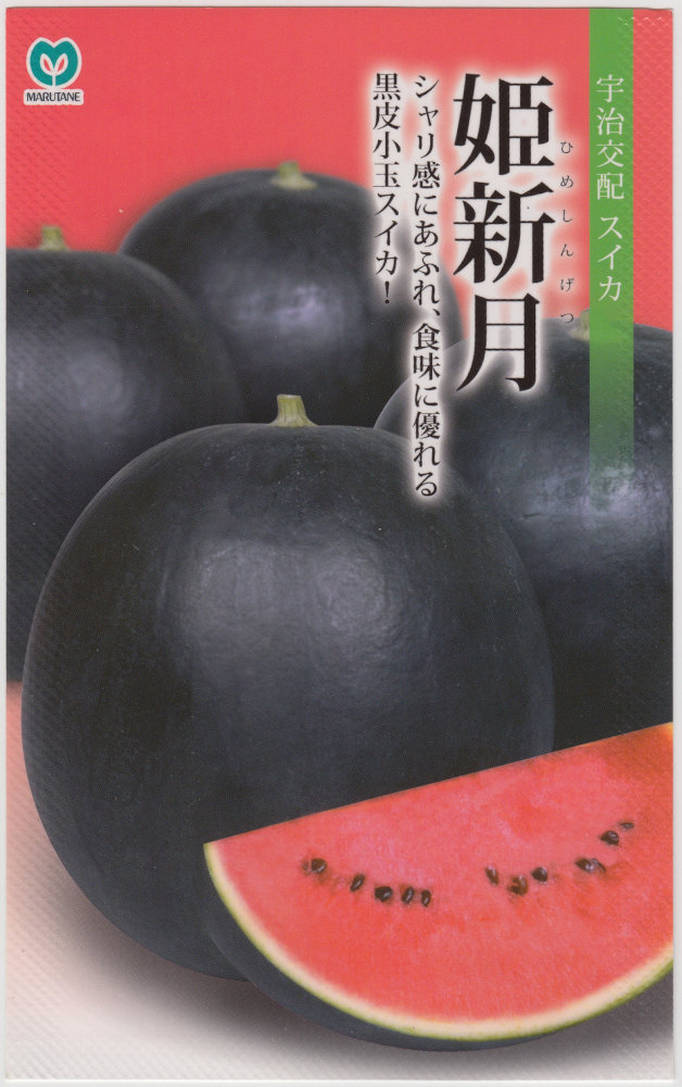 �ݼ� ������ ɱ����Υ���(�Ҥᤷ�󤲤�)[�����̡���7γ]