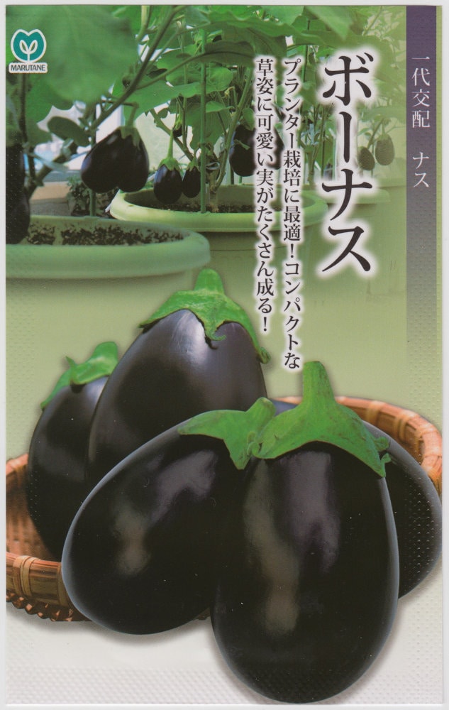 丸種 ナス ボーナスのタネ[内容量：約7粒] | 【メーカー名からタネを