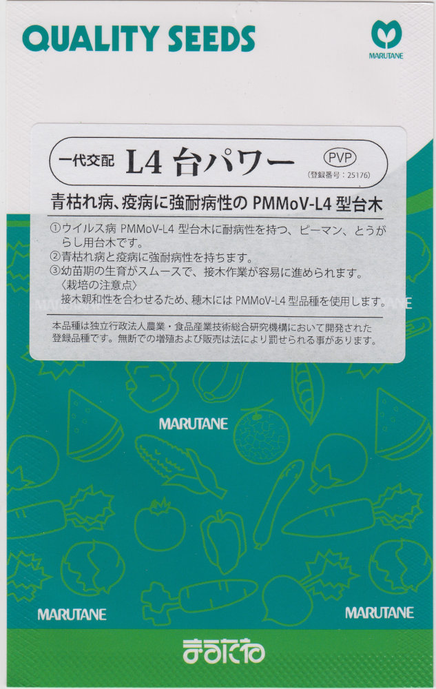 �ݼ� �ԡ��ޥ󡦤Ȥ����餷������ �̣���ѥ�Υ���[�����̡���100γ]