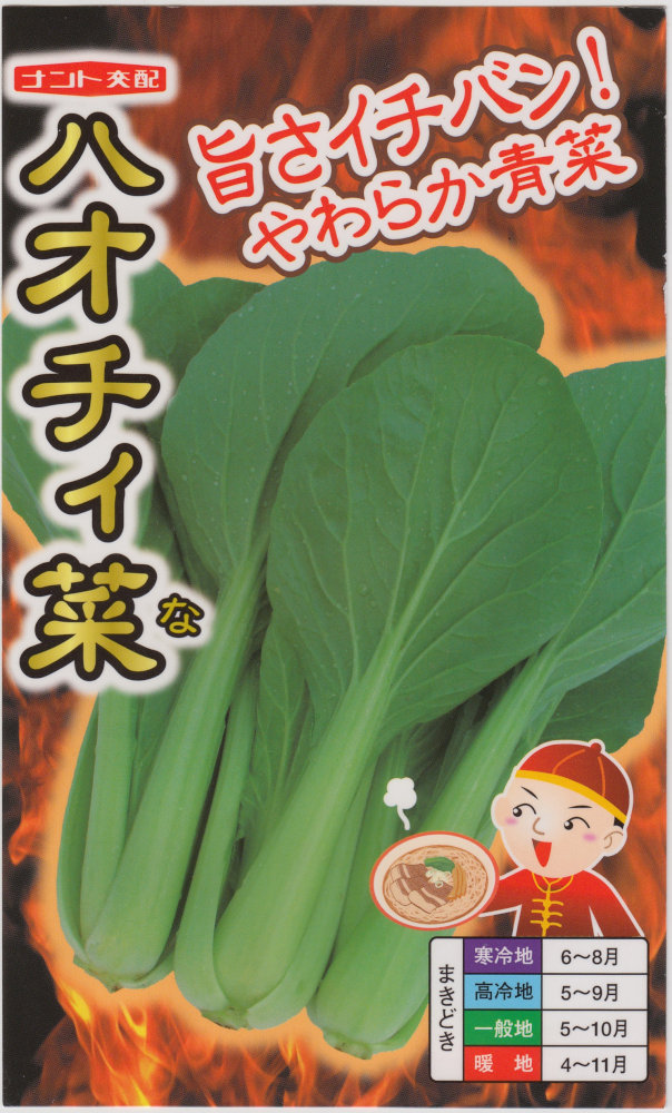 ナント種苗 青菜 ハオチィ菜のタネ[内容量：5ml] | 【メーカー名