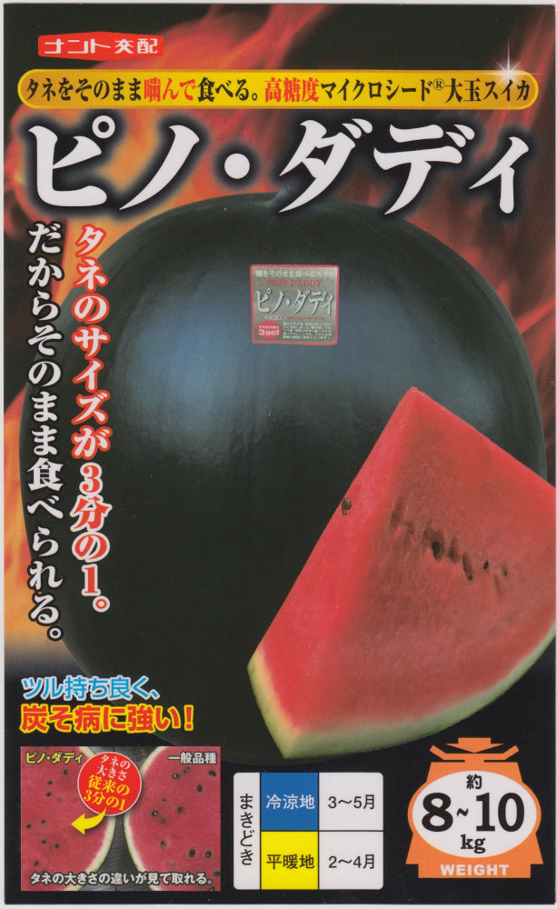 �ʥ�ȼ��� ������ �ԥΡ����ǥ��Υ���[�����̡���5γ]