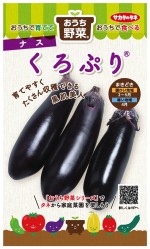 Υ ʥ   פΥ[̡12γ]