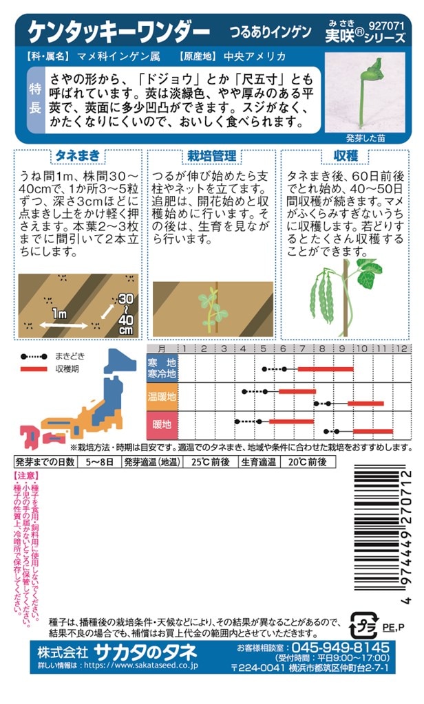 サカタのタネ つるありインゲン ケンタッキーワンダーのタネ
