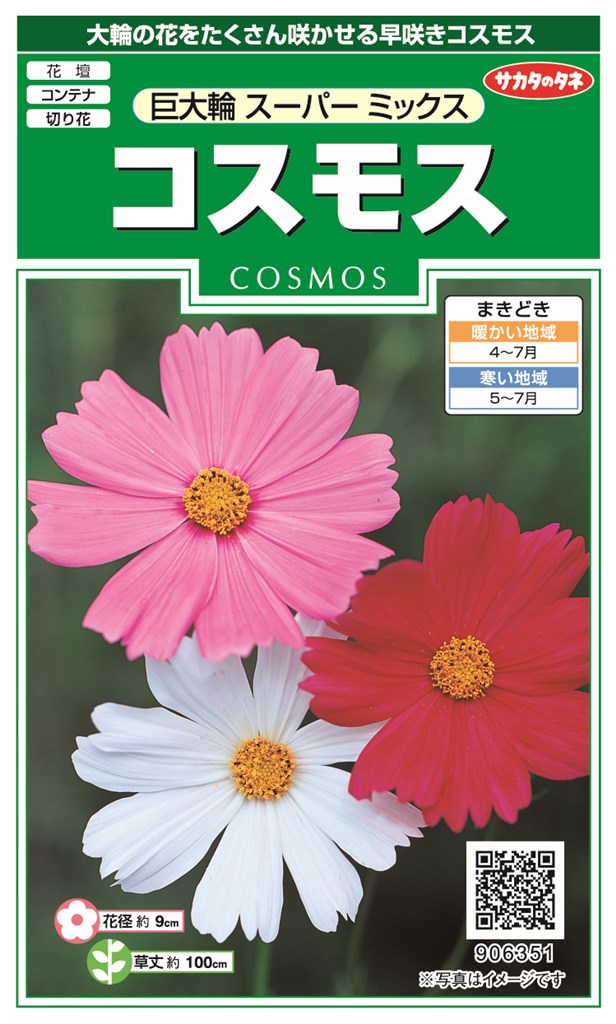サカタのタネ コスモス 巨大輪スーパーミックスのタネ[内容量：2ml